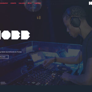 DJ Hobb Entertainer Musiker